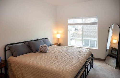 Historic Southwest Apartment | HUGE New Apartment Next to Mayo, Free Parking