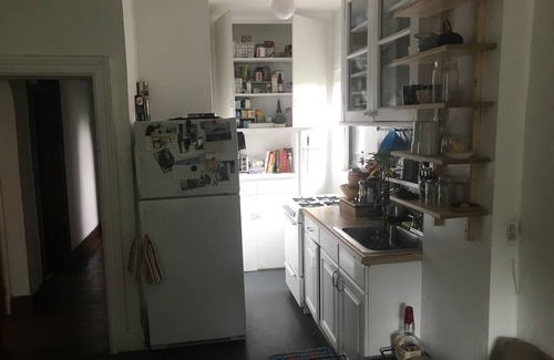 Fort Greene Apartment | HUGE ONE BEDROOM APT IN FORT GREENE