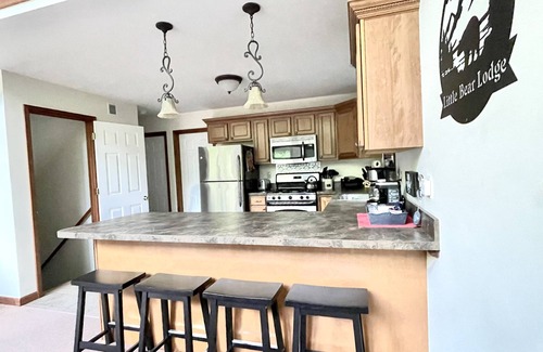Locust Lake Village Ski Chalet | Huge w/Fire Pit, Pets, Game Room, Hike, Quiet Street, Summer in the Mountains!