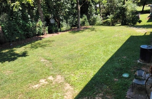 Hendersonville House | Hummingbird HavennCharming 2-bedroom house in Hendersonville with WiFi and AC