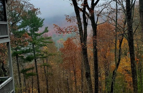 Blairsville Cabin | Hummingbird-Located across from Coosa creek with mountain views