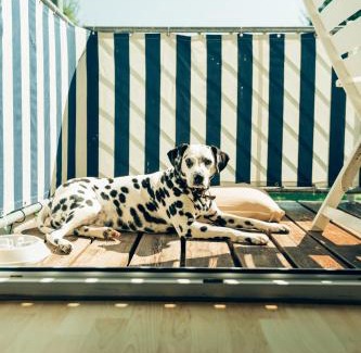 Spalt Apartment | Hundefreundliche Ferienwohnungen Brombachsee