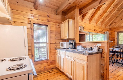 Townsend Cabin | Hunter's Hideaway: Pet Friendly, Free Attraction Tickets, Hot Tub, & Mountain Views
