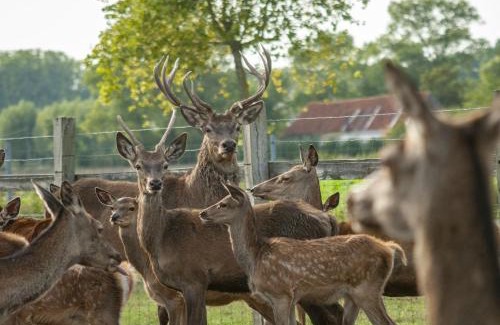 Sint-Kruis Villa | Huswell - Family house with a beautiful view in Damme