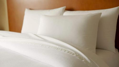 Jinjiang Hotel | Hyatt Centric The Ring Chengdu