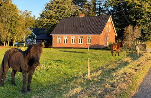 Branderup J House | Hyggelig aftægtsbolig i hjertet af Sønderjylland