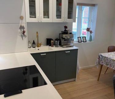 Ringkobing Villa | Hyggeligt lille byhus lige mellem havnen og bytorv