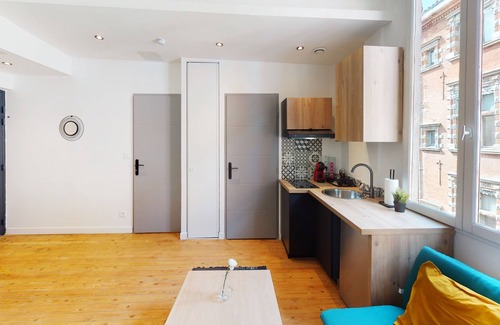 Capitole Apartment | Hypercentre Toulouse 6 : Nice air-conditioned and fully-equipped apartment