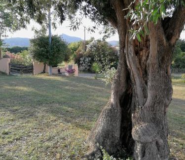 Siniscola House | I due Ulivi - strada per La Caletta
