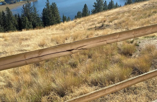 Harrison Cabin | Idaho Getaways Beautiful Glamp tent with lakeview of Lake Coeurdalene & campfire