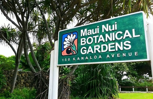 Kahului House | Ideal Spot! Pet-Friendly, Close to Kanaha Pond Wildlife Sanctuary