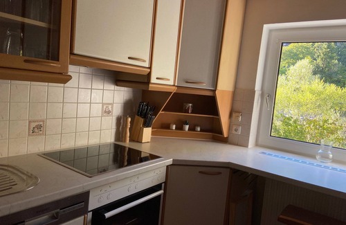 Bad Ischl Condo | Idyllic apartment directly on the Traun river