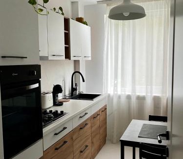 Baia Mare Apartment | Igla House