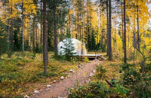 Imatra Other | Igloo Glamping LakeLand Camp