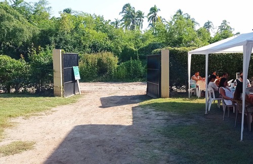 Boca de Iguanas Hotel | Iguana Loca - Apartments & Bungalows