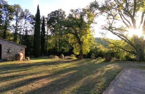 Montaione Apartment | Il Bosco del Lebbio