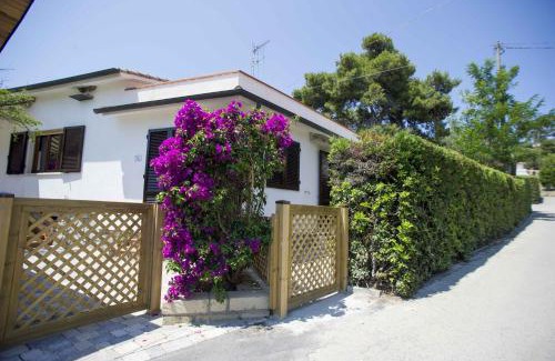 Lacona Apartment | Il Caubbio