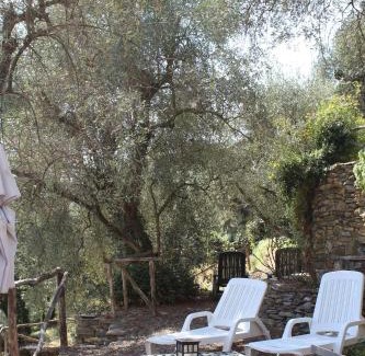 Dolcedo Apartment | Il Cavedano Innamorato