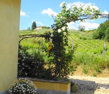 Greve in Chianti Bed & Breakfast | Il Cielo Bio - Il più piccolo B&B del Chianti