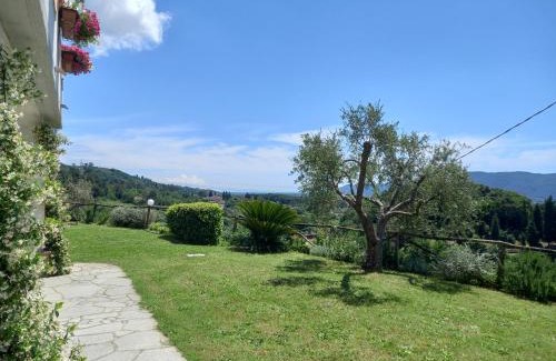 Sarzana House | Il Colle della Brina