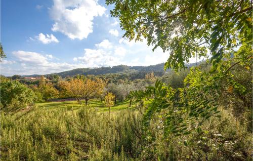 Motina House | Il Colle