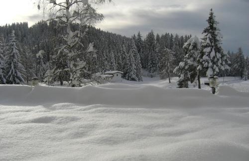 Sarnonico Hotel | Il Falchetto
