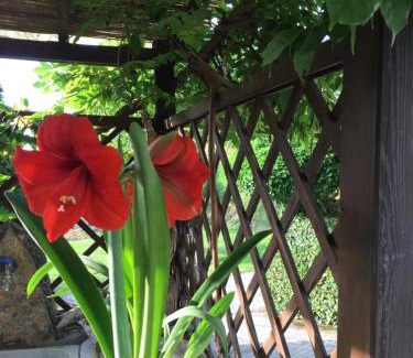 Val Graveglia Bed & Breakfast | Il Ghiro B&B