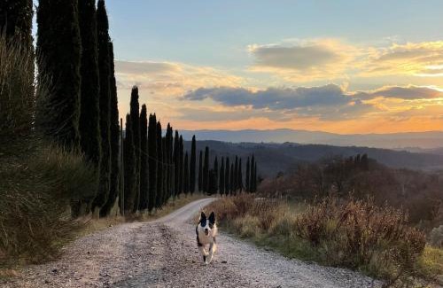 Chiusure House | Il Giardino degli Ulivi