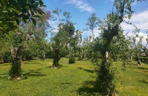 Paestum House | IL GIARDINO DI ATHENA