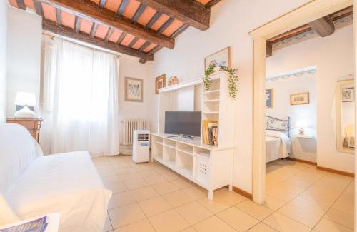 Lucca Historical Center Apartment | Il Nido - Immersi Nell'arte
