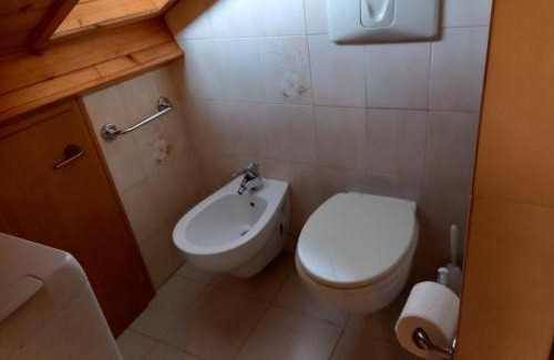 Primiero San Martino di Castrozza Apartment | il Nido