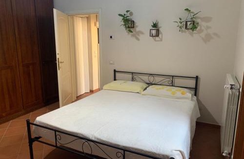 Twist House | Il Quadrifoglio Nascosto