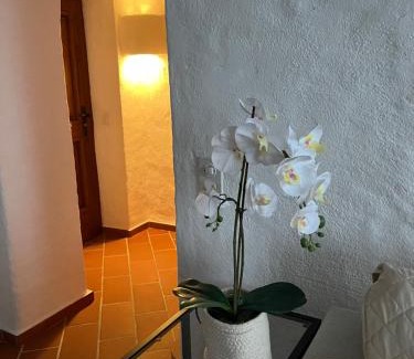 Caslano Apartment | Il Rustico in Caslano