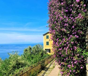 Pieve Ligure Apartment | Il sogno del capitano