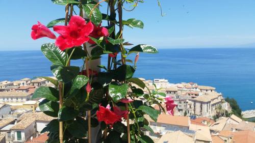Pizzo Apartment | Il Terrazzo su Pizzo