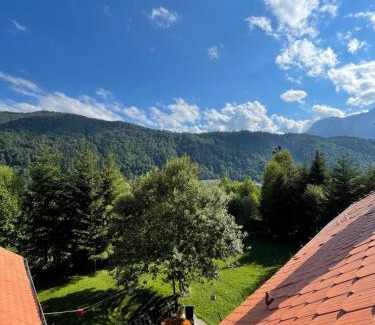 Azuga Villa | Imperial F Villa