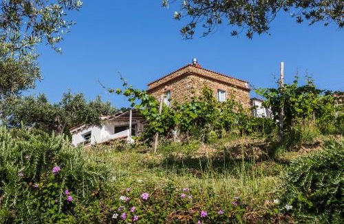 Agropoli House | Impietra