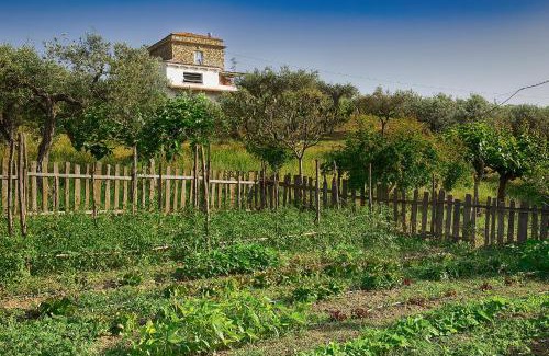 Agropoli House | Impietra