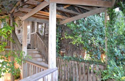 New Braunfels House | Impressive Tree House near the Guadalupe River in New Braunfels, Texas