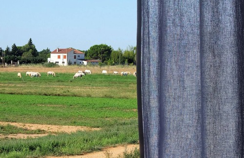 Arles Apartment | IN AN OLD PROVENCAL FARMHOUSE-APARTMENT IN A PEACEFUL SETTING-VIEWS OVER THE COUNTRYSIDE-
