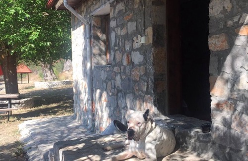 Ortaca Other | İn nature silent, close to Iztuzu Beach in Dalyan and Eco-trail bicycle road