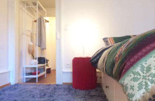 Basel City Centre Apartment | In Swiss Home - Rathaus from 1284 historical Apartment