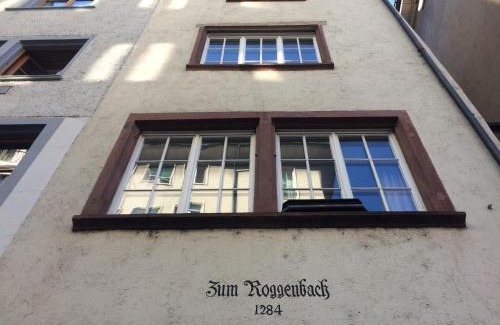Basel City Centre Apartment | In Swiss Home - Rathaus from 1284 historical Apartment