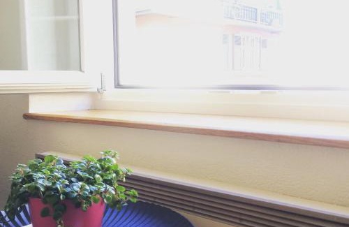 Basel City Centre Apartment | In Swiss Home - Rathaus from 1284 historical Apartment