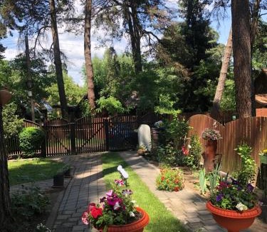 Reci Ski Chalet | Inchirieri cabana- “Chalet Rustique”