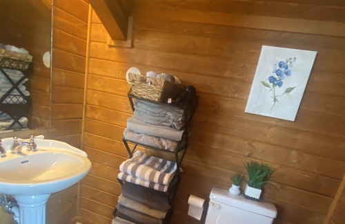 Florissant Cabin | Incredible Cozy Cabin on 40 acres of remote forest w Private Hot Tub