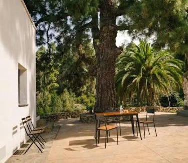 La Guancha House | Increible casa con vistas al jardin, silencio y paz