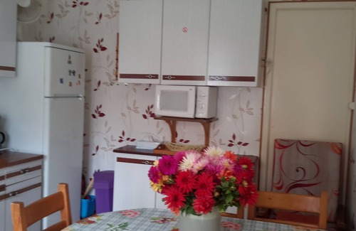 Le Bois-Plage-en-Re House | independent house in property retaise for 4 people