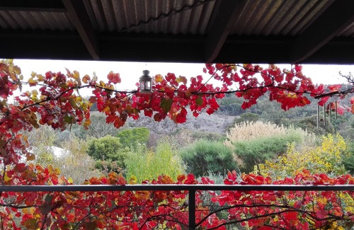 Beechworth House | Indigo Cottage: Heritage Cottage with wrap around views to the Gorge Rock