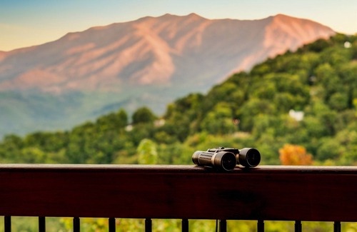 Chalet Village Cabin | IndoorPool | 2 Suites | View | HotTub | GmRm | PS5